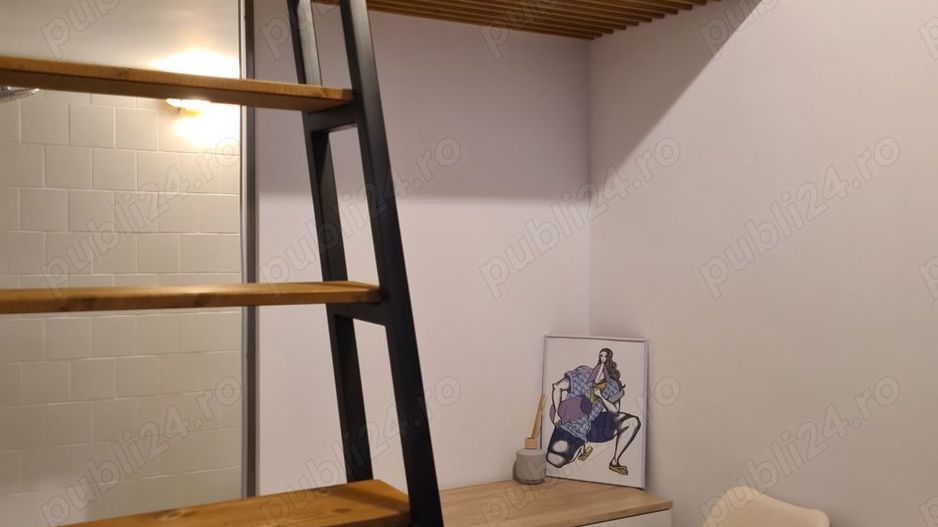 Apart deosebit pe malul Begai - Poză 7