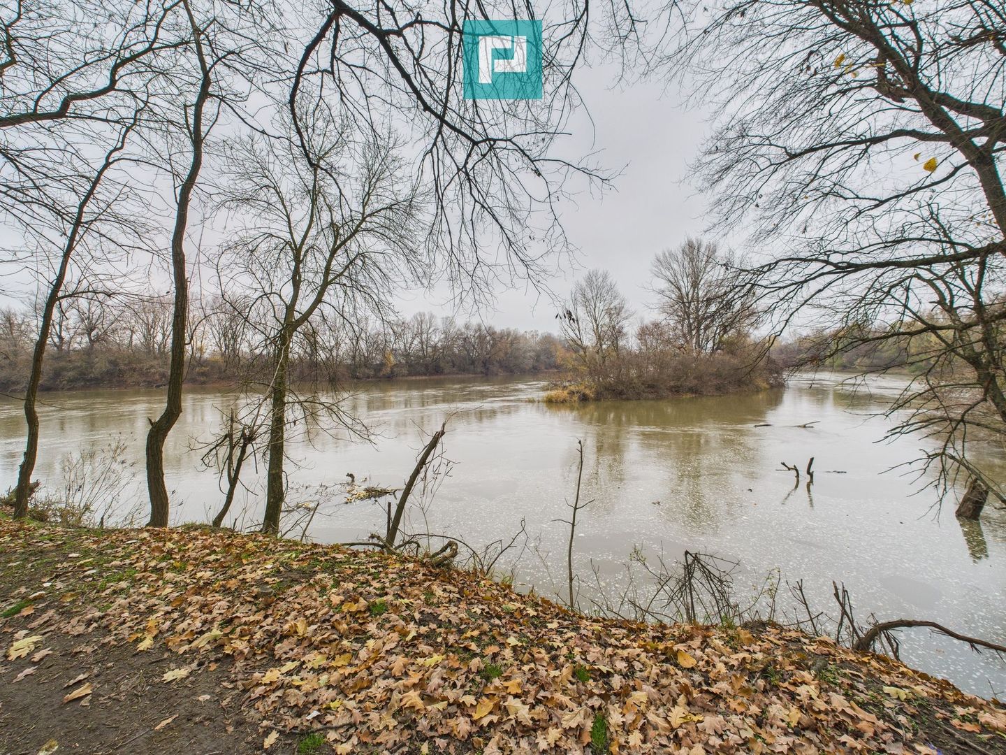 Teren spectaculos la  Periam Port - Poză 12