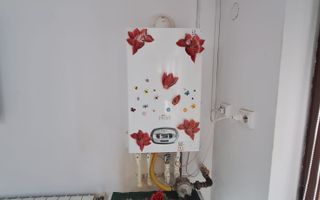 Casa de vanzare zona Campia Islaz - Poză 4