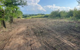 Oportunitate de Investiție Strategică | Teren Intravilan | Colonia Becas - Poză 9