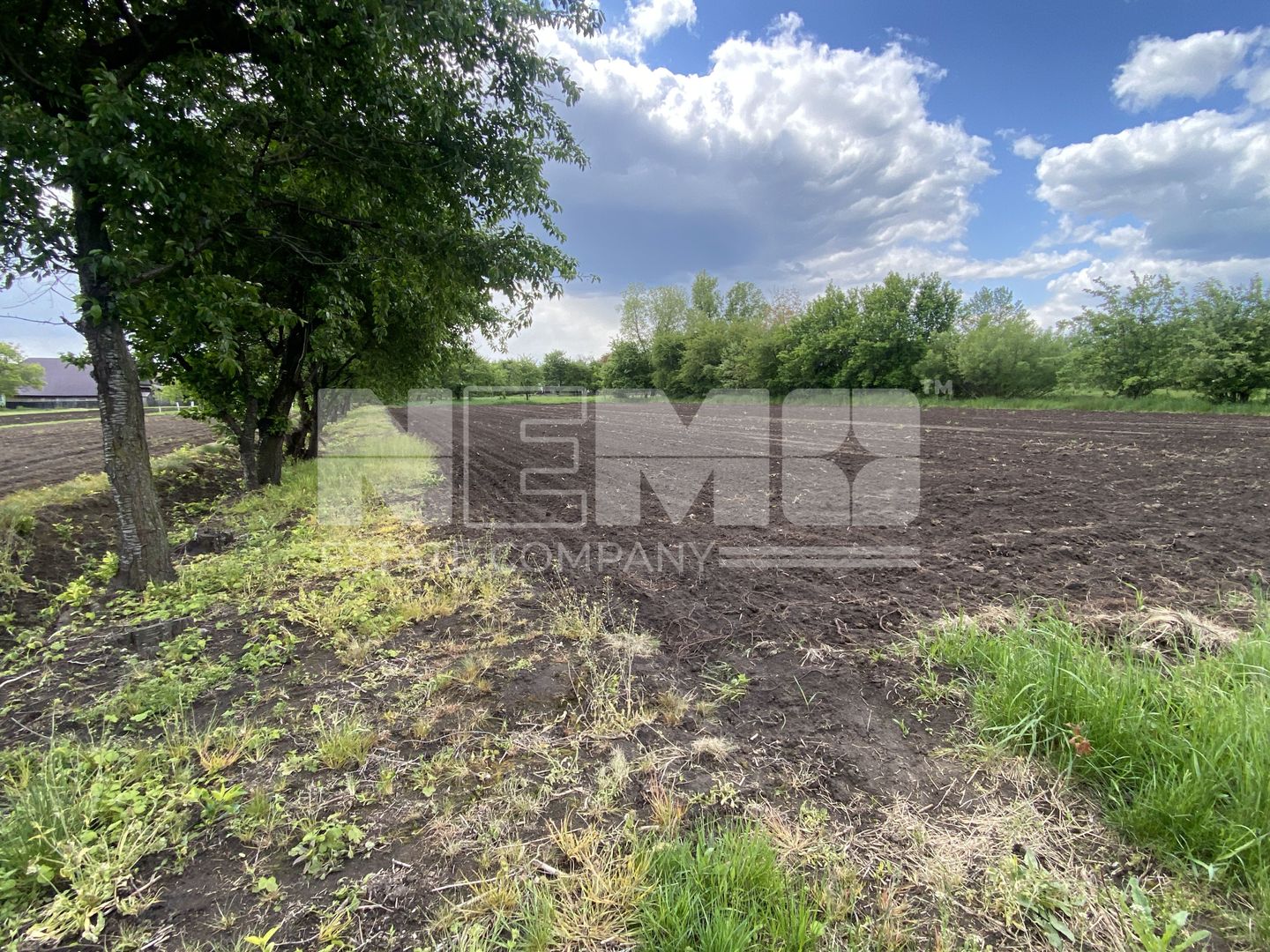 Teren Intravilan | 22 ARI | Horodnic De Jos - Poză 3