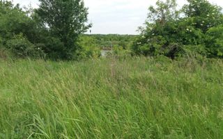 Teren Buftea cu iesire la lac - Poză 27