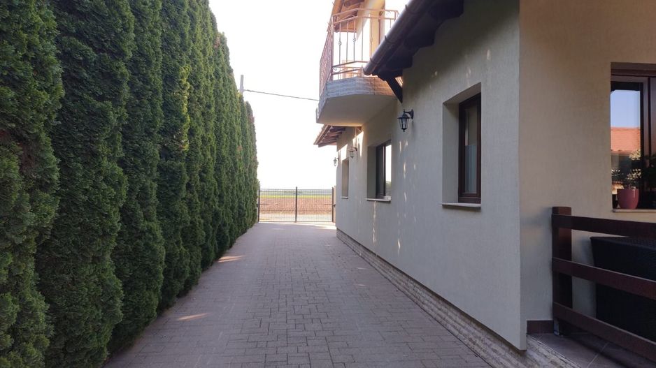 BRASADAS vinde vila 5 cam 190mp teren 10 ari str. Dara. - Poză 9