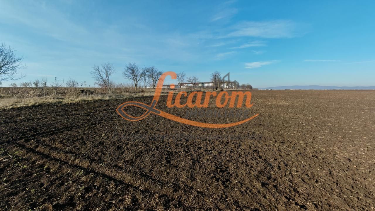 Teren intravilan,428 mp,SANPETRU iesirea spre BOD, utilitati. - Poză 1