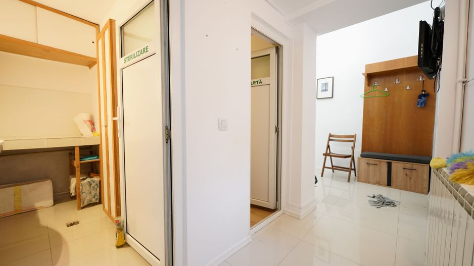 Casa, Hala Traian, ideal cabinet stomatologic - Poză 7