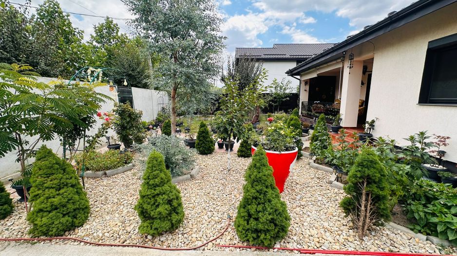 Parter cu structură pentru etaj, curte amenajată și organizare impeca - Poză 12