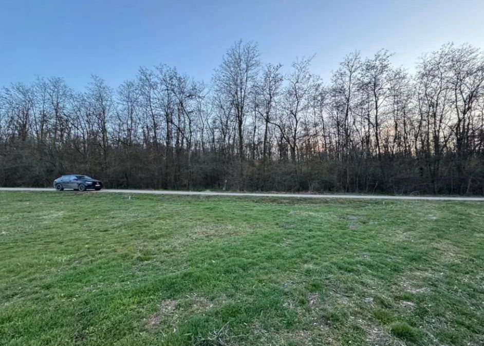 intravilan in vecinatatea palatului Snagov - Poză 4