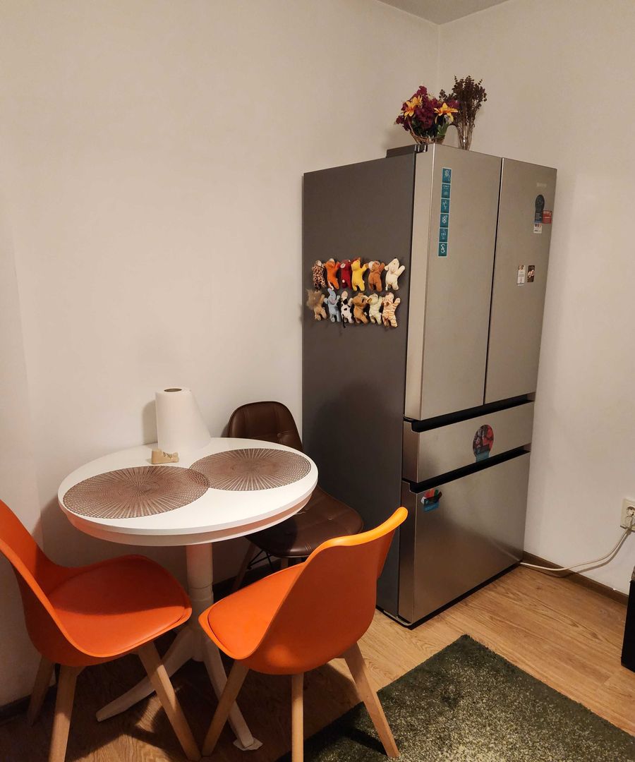 Apartament 3 camere Lujerului - Poză 5
