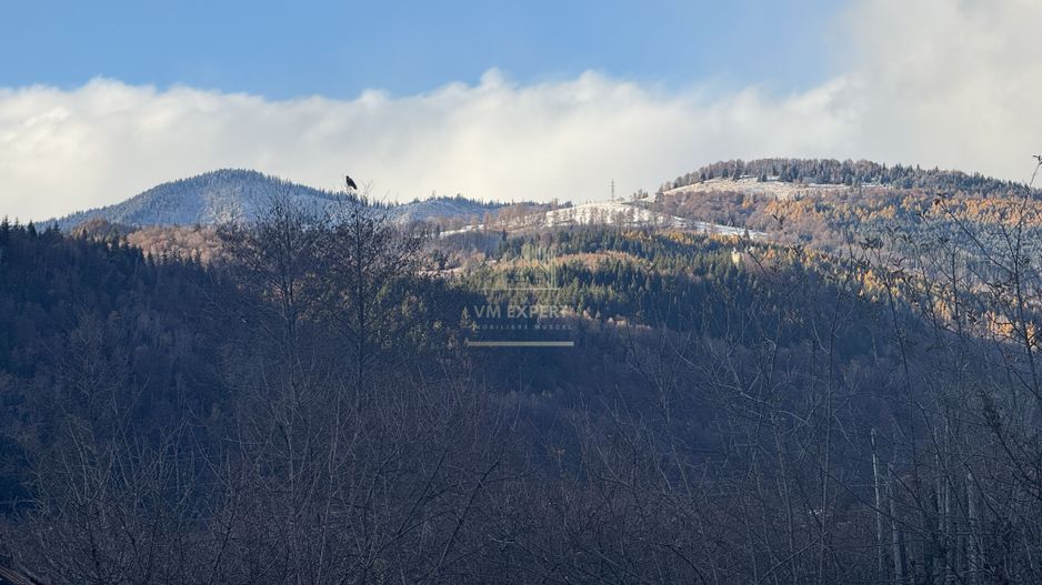 VILA 4 CAMERE, LERESTI, TEREN 3489 MP COMISION 0% CUMPARATOR - Poză 59