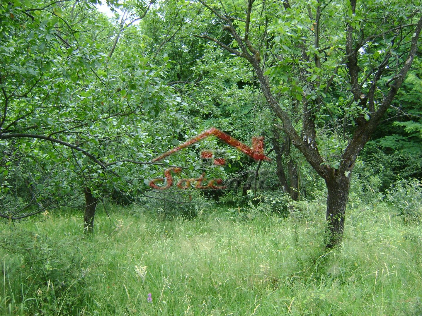 Teren de vanzare Cornu 3074 mp - Poză 9