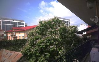 Apartament Plevnei / Orhideea - Poză 13