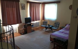 de vanzare casa mare  zona Brancoveanu suprafata utile 350 mp - Poză 28
