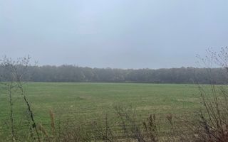 9400 mp | Ideal pentru investitie | Tunari | Deschidere la padure - Poză 7