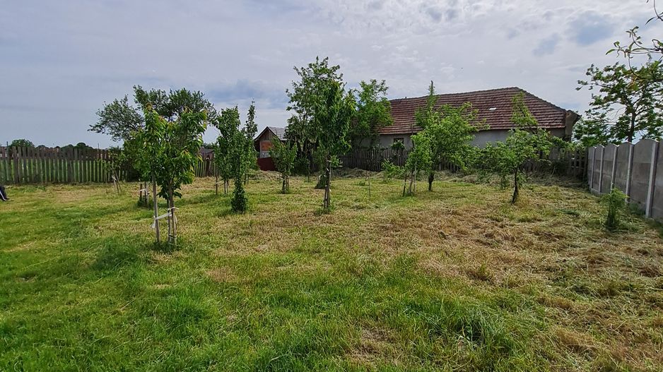 Casa nemțească cu teren generos - Poză 13