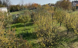 BRASADAS vinde casa tip S+P+M Titulescu 200mp teren 1600 mp. - Poză 8