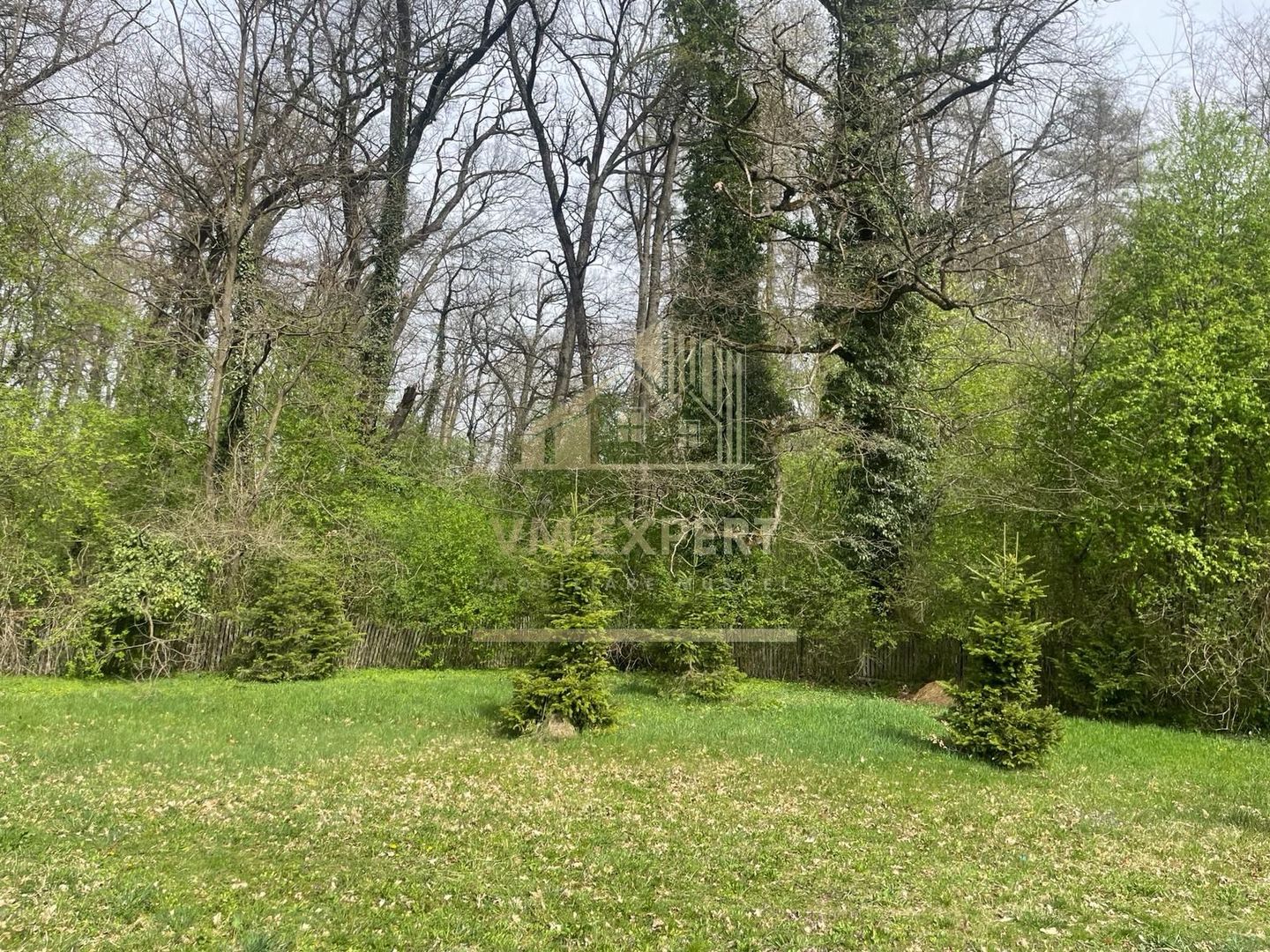 TEREN INTRAVILAN 1800 MP MIHAESTI ARGES COMISION 0 - Poză 3