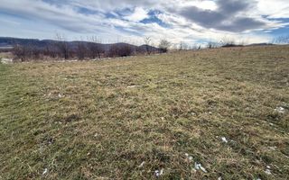 Teren Voievodeasa | 19.5Ari | Intravilan - Poză 6