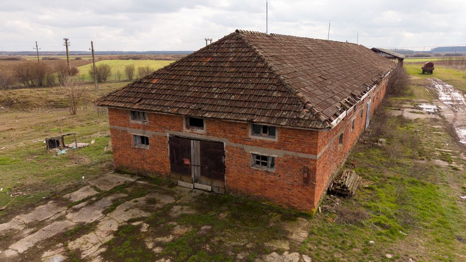 Fermă cu teren intravilan de 35000 mp în Mișca - Poză 21