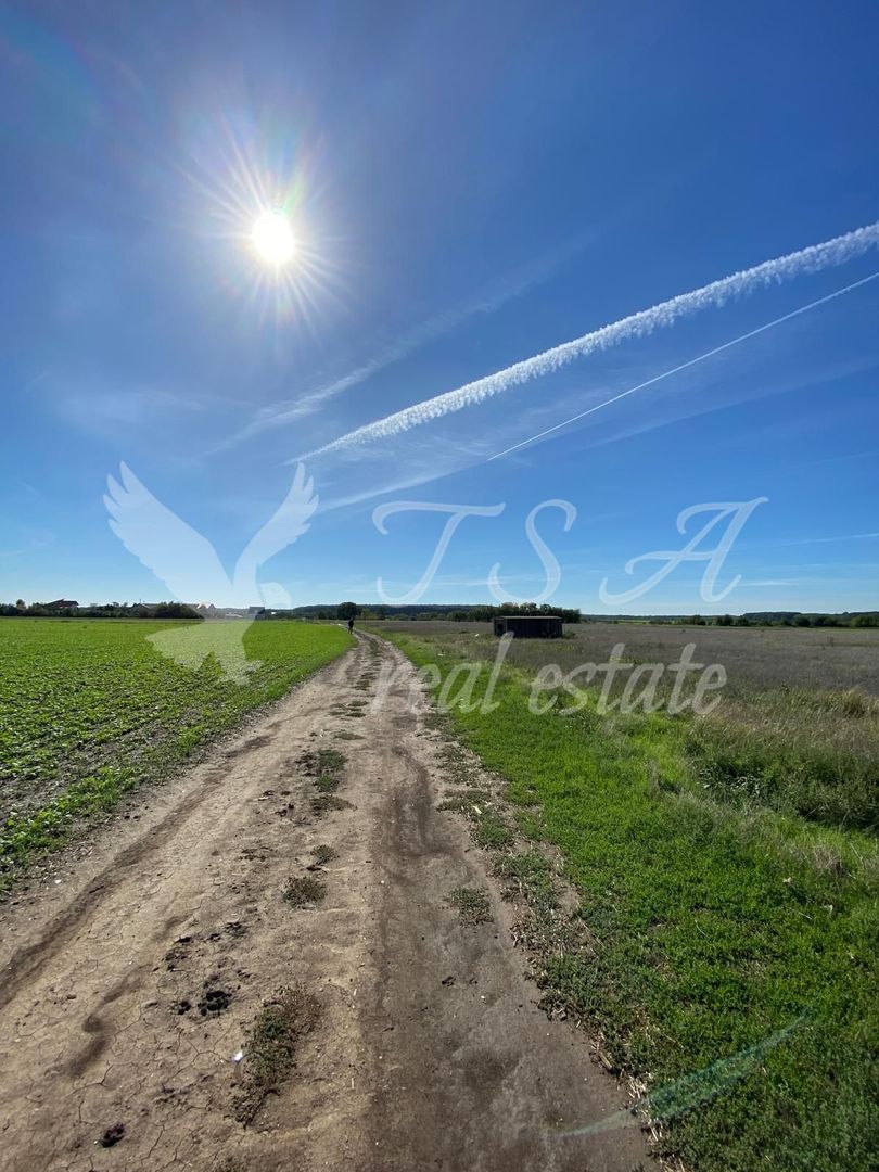 Teren Intravilan 825mp Cu dubla deschidere si Drum de servitute, Dascalu  Ilfov - Poză 11