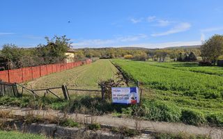 Teren de vânzare - 4000 mp stradal, DN73 Pitești - Câmpulung - Poză 8