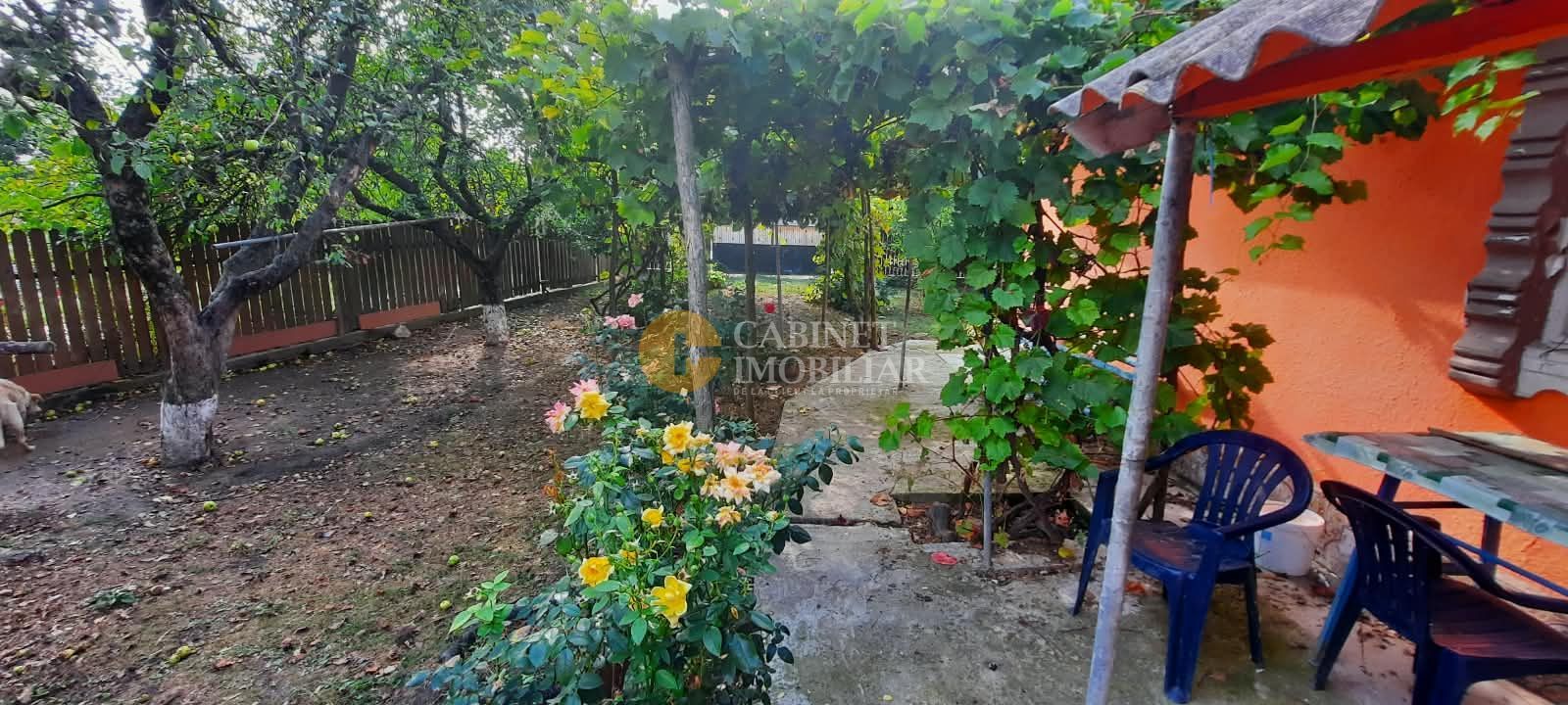 🏡 CASĂ BĂTRÂNEASCĂ LOCUIBILĂ DE VÂNZARE – TRIFEȘTI, IAȘI 🏡 - Poză 3