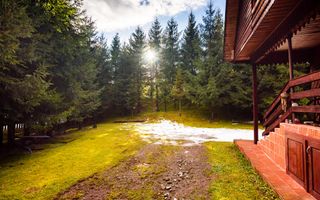 Cabane cu 10 camere Arieseni - Poză 19