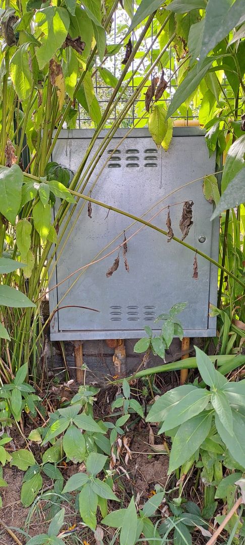 Palanca - Floresti - Stoenesti, Jud. Giurgiu, teren 4700 mp, utilitati - Poză 8