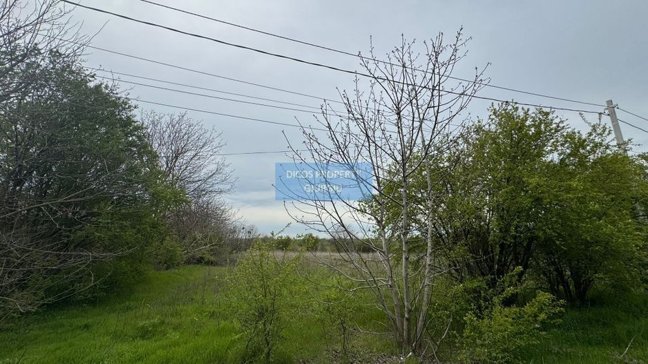 teren intravilan  sat Daia, județul Giurgiu,Dealul Florilor - Poză 1