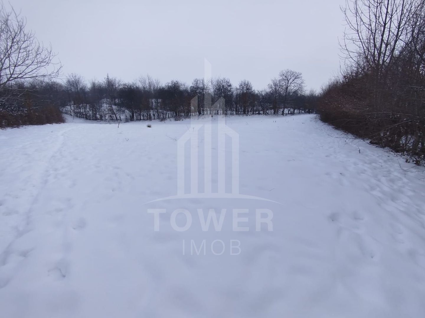 Teren intravilan 2.295 mp, deschidere 60 m – Rășinari, comision 0% - Poză 4