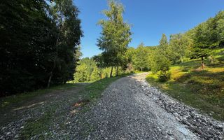 18000 mp de natura pura ,Lupeni, langa Straja - Poză 26