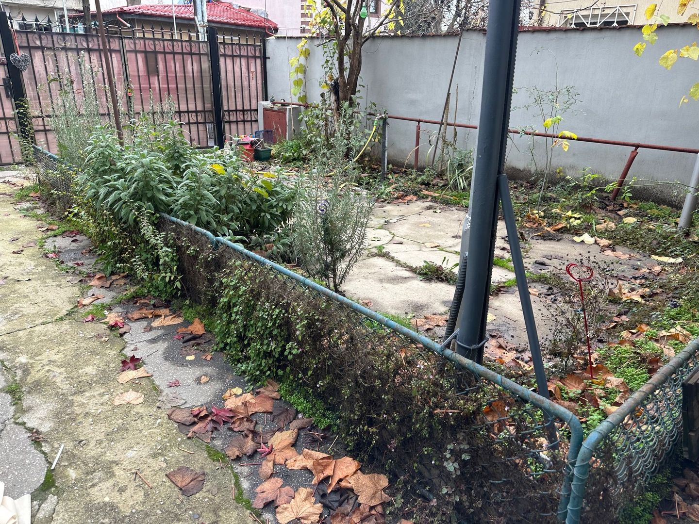 Inchiriere Casa-curte- 1Mai zona Expozitiei - Poză 9