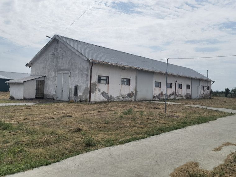 Proprietate industriala la 30 km exterior sud Timisoara - Poză 37