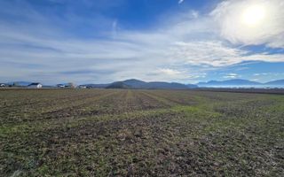 Teren 30.000 mp  – PUZ aprobat pentru ansamblu locuințe - Poză 13