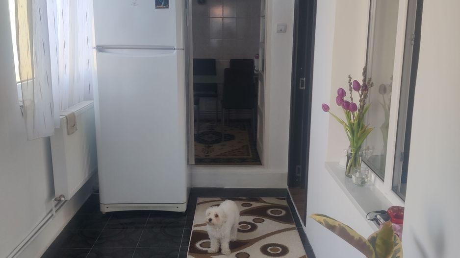 CASA CU TEREN 838 MP ZONA STEAUA - Poză 6