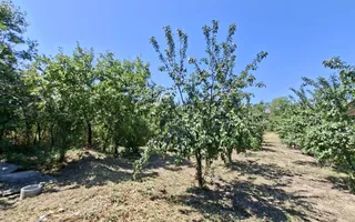 Casa Teiu Deal 84 mp toate conditile mutare imediata - Poză 13