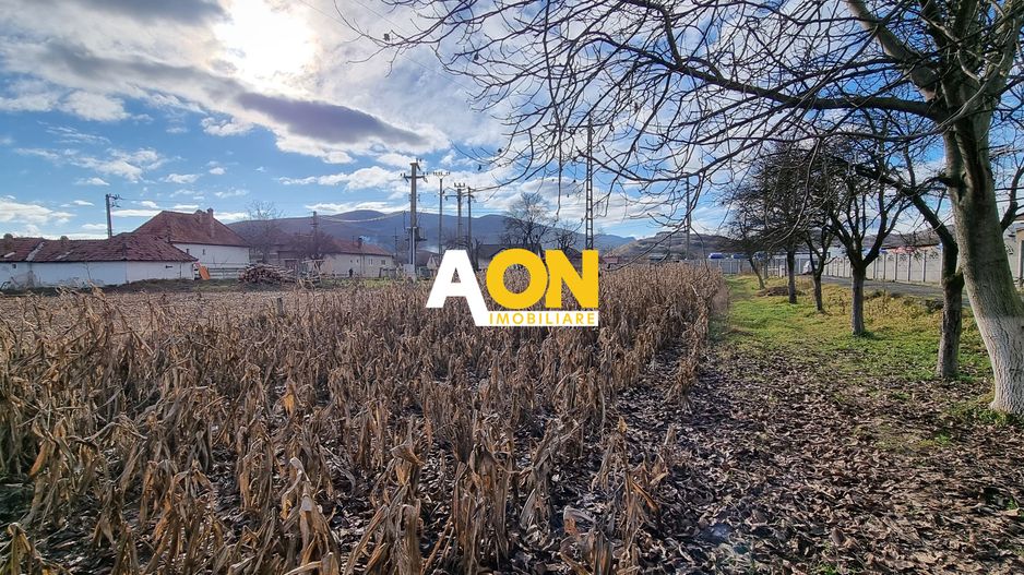 De vanzare 1929mp teren intravilan cu utilitati, Sard - Poză 3