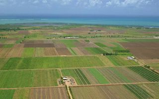 TEREN DE VANZARE - Poză 2