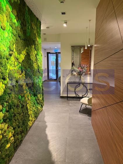 INCHIRIERE APARTAMENT SOS NORDULUI | 2 CAMERE | TERASA | MOBILAT LUX - Poză 8