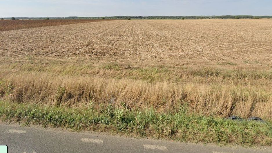 Teren extravilan localitatea Nuci, Ilfov - Poză 2