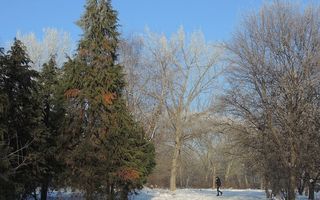 Apartament 2 camere Titan - Poză 1