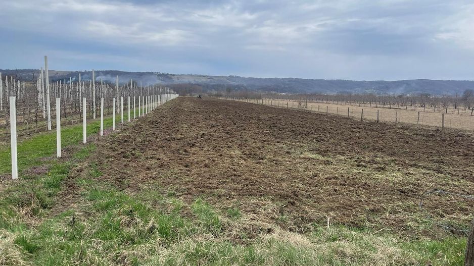 Oportunitate pentru investitie!Vanzare teren in Voinesti - Poză 1