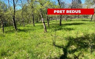 Teren intravilan, Comuna Corbi, Jud. Argeș, toarte utilitatile - Poză 1