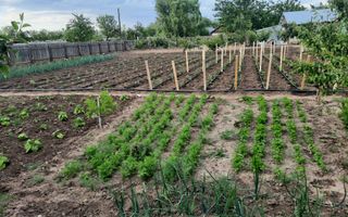 Casa Parter+Pod 90 mp+anexa 60 mp + atelier + teren intravilan 1600 mp - Poză 45