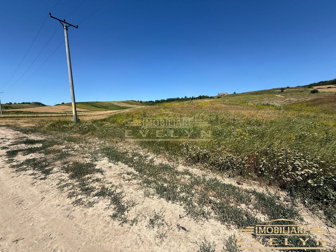 Terenuri extravilane de vânzare în zona Tulbureni – 500 mp și 2.200 mp - Poză 1