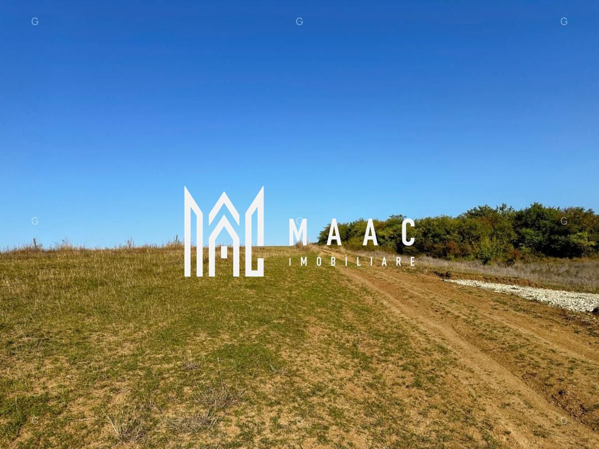 Teren | 651MP | Extravilan | Rusciori - Poză 6