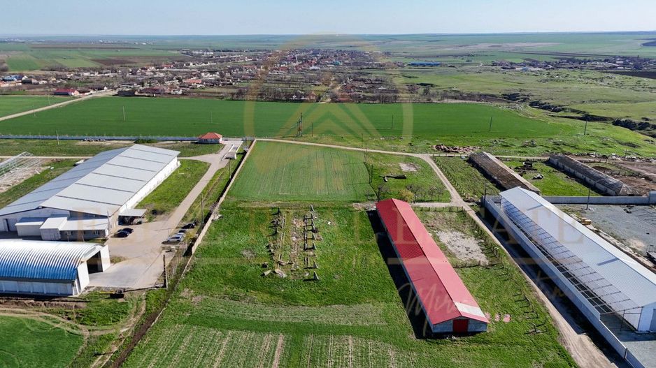 Tariverde - Ferma zootehnica functionala, 3 hectare teren intravilan! - Poză 3