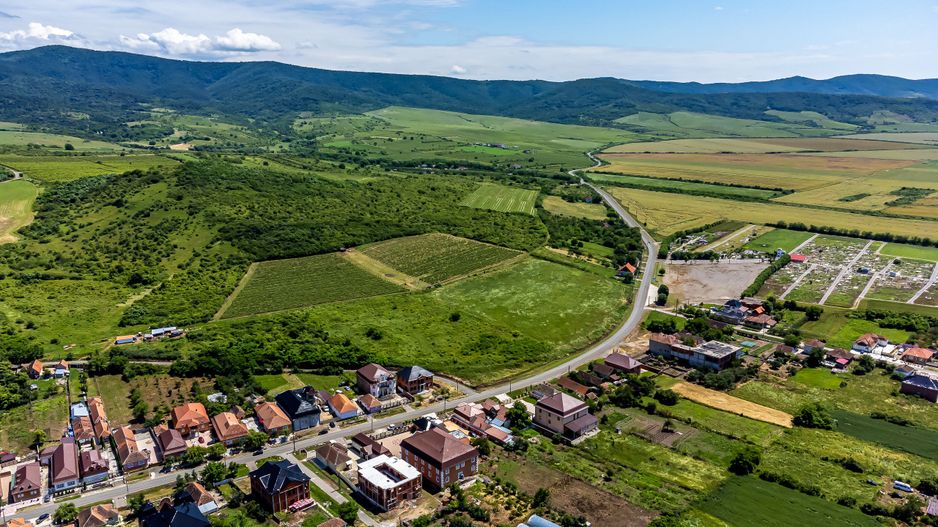 PRET REDUS Oportunitate de afacere, Teren cu vita de vie - Poză 2