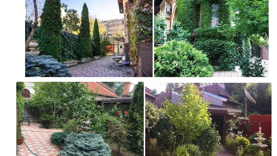 Vila interbelica de LUX consolidata integral, Matei Basarab, Traian - Poză 32