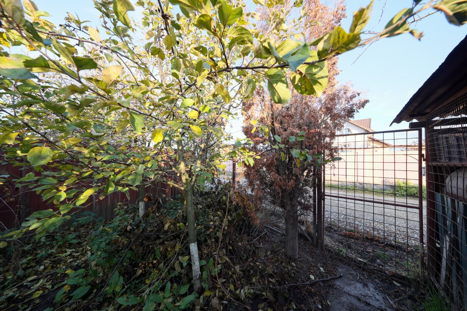 Casa 4 camere Halchiu | teren 400 mp | acces 2 strazi - Poză 34