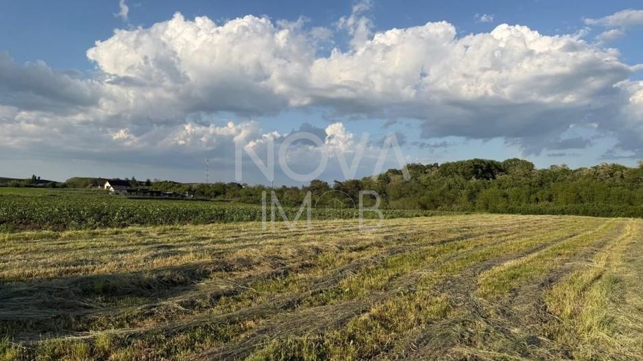 Teren de vânzare în Ocna Sibiului – Locație premium lângă lacurile sărate - Poză 2
